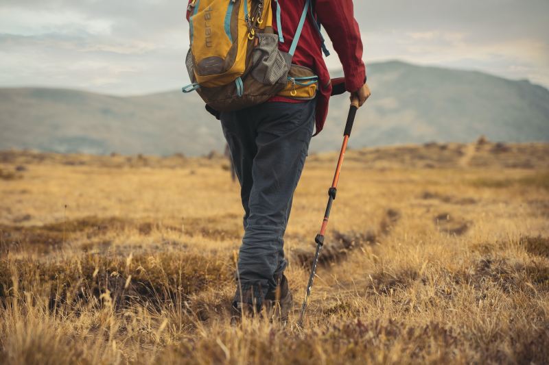 A man walks through a field using walking poles.